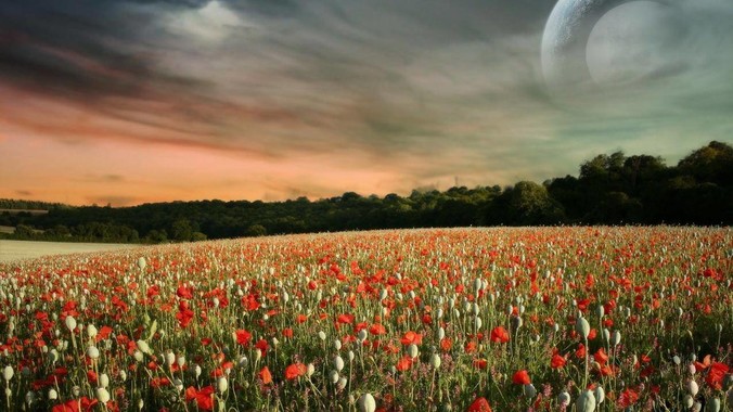 WebSocket 是什么原理？为什么可以实现持久连接？